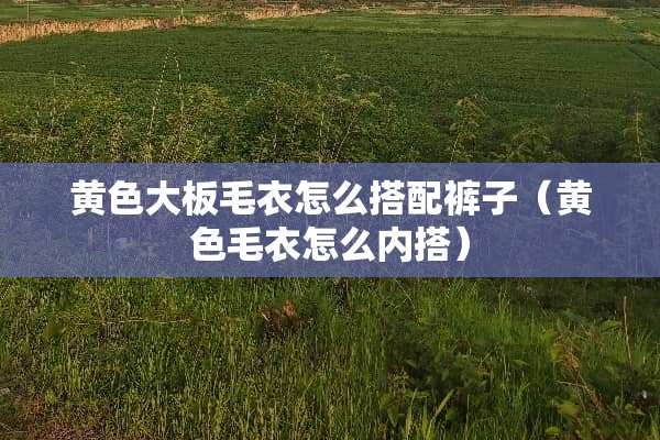 **大板毛衣怎么搭配裤子（**毛衣怎么内搭）