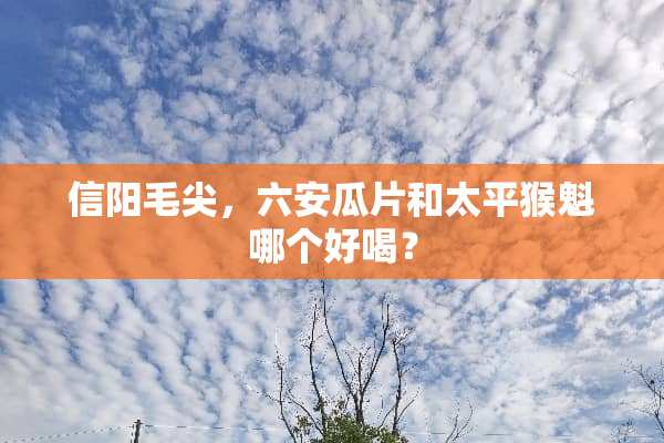 信阳毛尖，六安瓜片和太平猴魁哪个好喝？