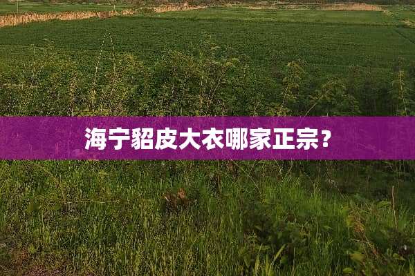 海宁貂皮大衣哪家正宗？
