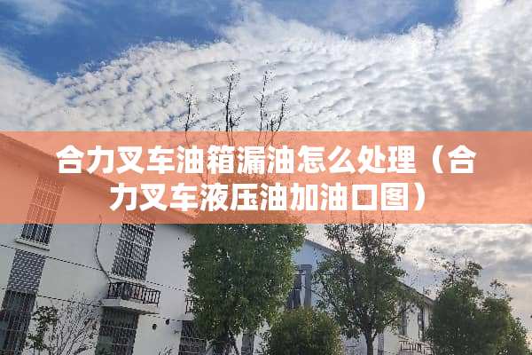 合力叉车油箱漏油怎么处理（合力叉车液压油加油口图）