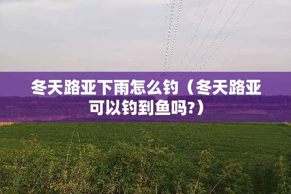冬天路亚下雨怎么钓（冬天路亚可以钓到鱼吗?）