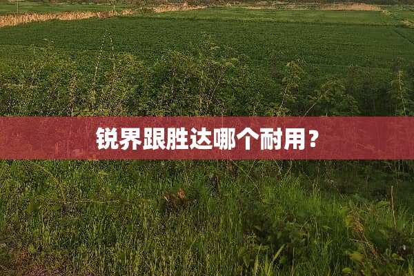 锐界跟胜达哪个耐用？
