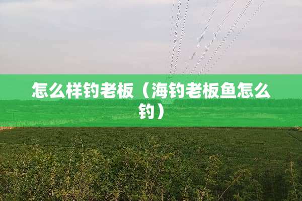怎么样钓老板（海钓老板鱼怎么钓）