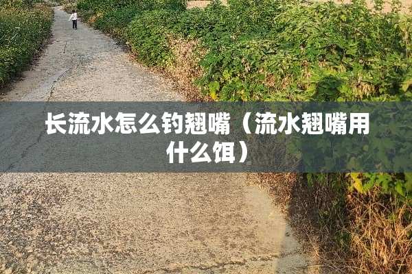 长流水怎么钓翘嘴（流水翘嘴用什么饵）