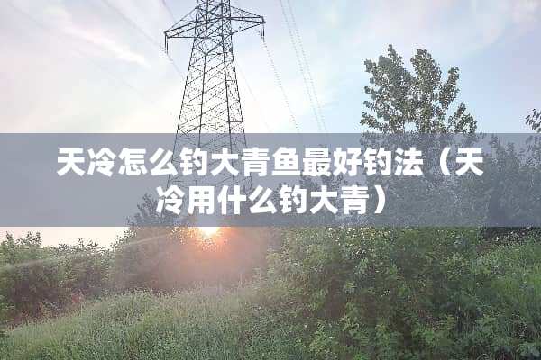 天冷怎么钓大青鱼最好钓法（天冷用什么钓大青）
