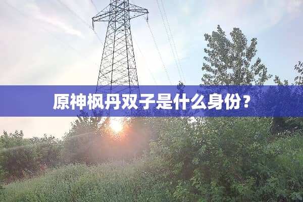 原神枫丹双子是什么身份？
