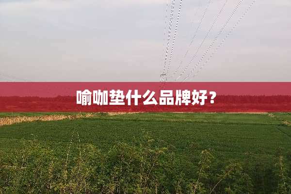 喻咖垫什么品牌好？