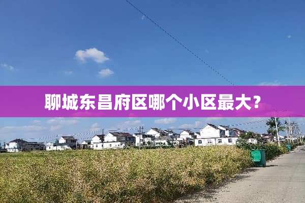 聊城东昌府区哪个小区最大？