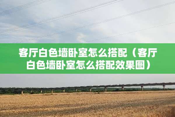 客厅白色墙卧室怎么搭配（客厅白色墙卧室怎么搭配效果图）