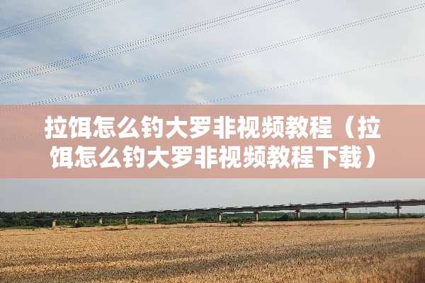 拉饵怎么钓大罗非视频教程（拉饵怎么钓大罗非视频教程下载）
