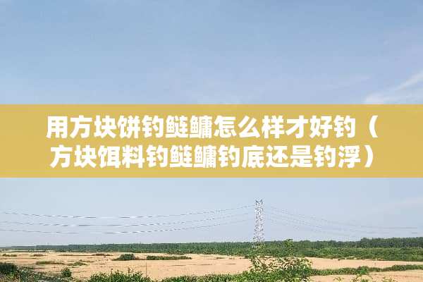 用方块饼钓鲢鳙怎么样才好钓（方块饵料钓鲢鳙钓底还是钓浮）