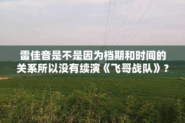 雷佳音是不是因为档期和时间的关系所以没有续演《飞哥战队》？