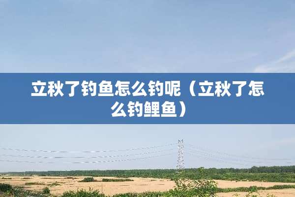 立秋了钓鱼怎么钓呢（立秋了怎么钓鲤鱼）