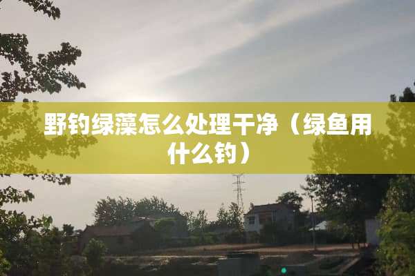 野钓绿藻怎么处理干净（绿鱼用什么钓）
