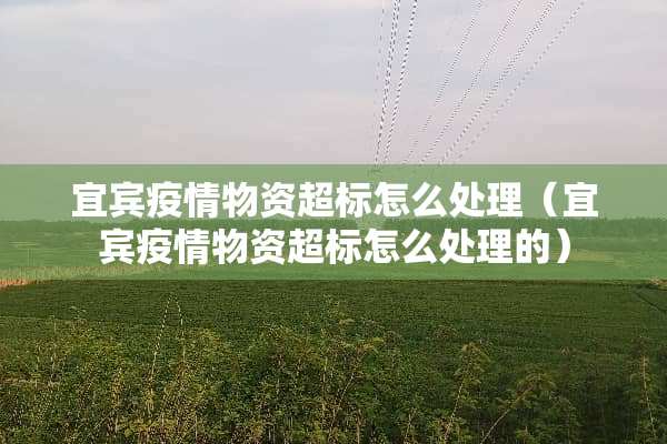 宜宾疫情物资超标怎么处理（宜宾疫情物资超标怎么处理的）