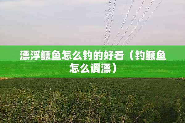 漂浮鳜鱼怎么钓的好看（钓鳜鱼怎么调漂）