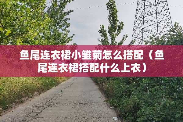 鱼尾连衣裙小雏菊怎么搭配（鱼尾连衣裙搭配什么上衣）