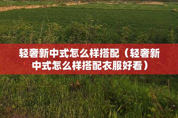 轻奢新中式怎么样搭配（轻奢新中式怎么样搭配衣服好看）