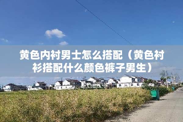 **内衬男士怎么搭配（**衬衫搭配什么颜色裤子男生）