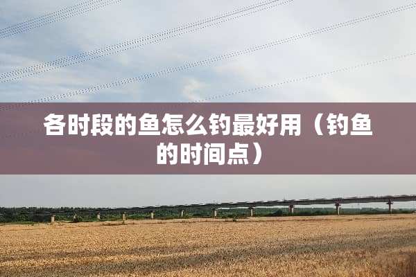 各时段的鱼怎么钓最好用（钓鱼的时间点）