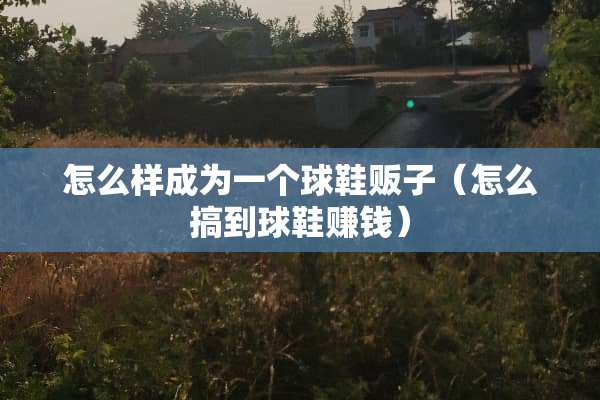 怎么样成为一个球鞋贩子（怎么搞到球鞋赚钱）