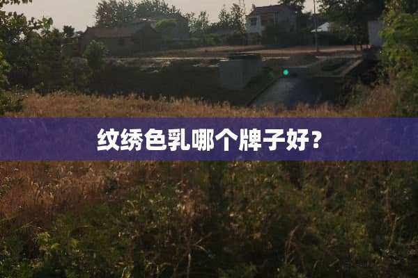 纹绣色*哪个牌子好？