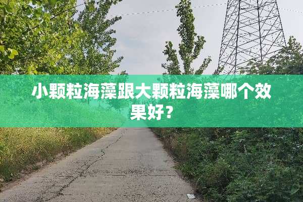 小颗粒海藻跟大颗粒海藻哪个效果好？