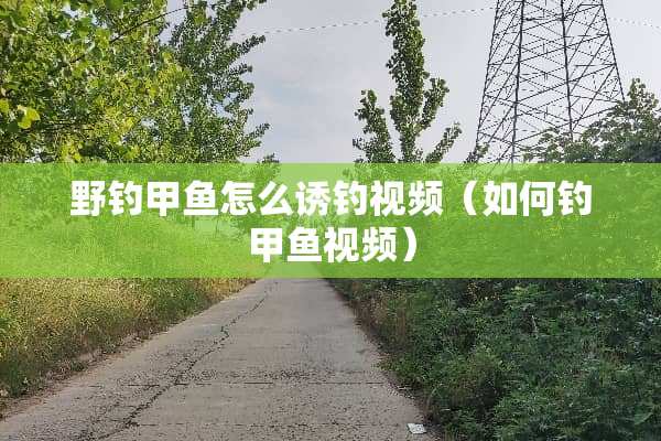 野钓甲鱼怎么诱钓视频（如何钓甲鱼视频）