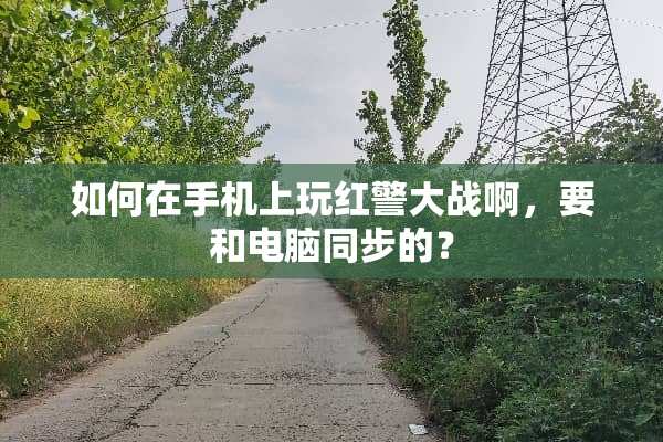 如何在手机上玩红警大战啊，要和电脑同步的？