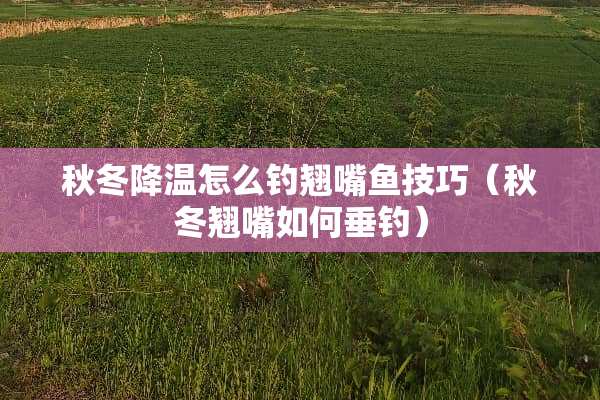 秋冬降温怎么钓翘嘴鱼技巧（秋冬翘嘴如何垂钓）