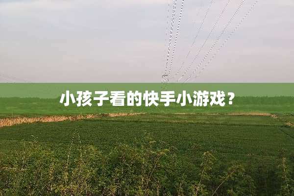 小孩子看的快手小游戏？