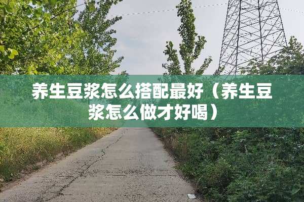 养生豆浆怎么搭配最好（养生豆浆怎么做才好喝）
