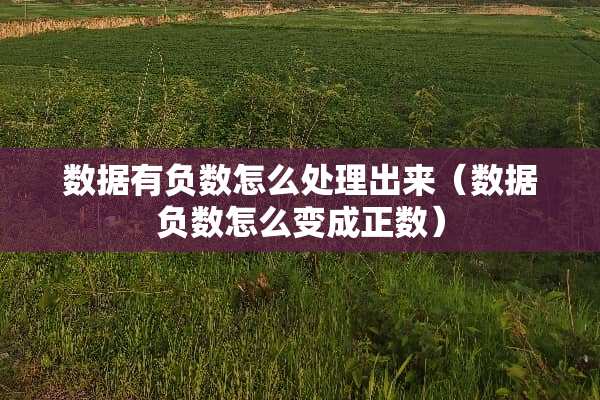 数据有负数怎么处理出来（数据负数怎么变成正数）