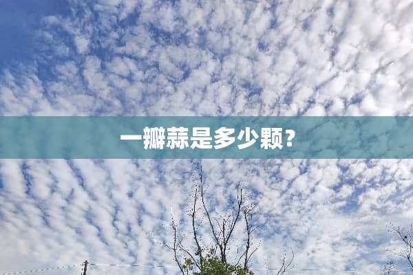 一瓣蒜是多少颗？