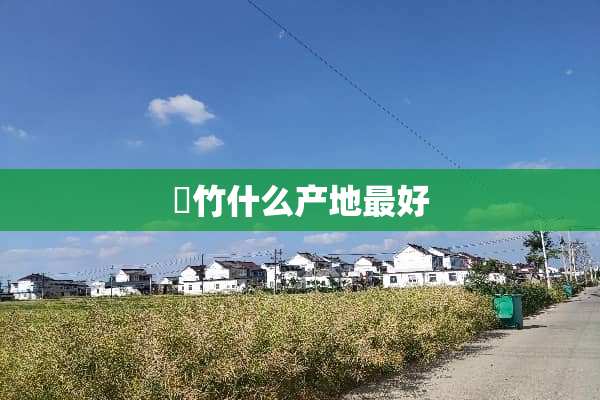 簕竹什么产地最好