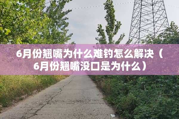 6月份翘嘴为什么难钓怎么解决（6月份翘嘴没口是为什么）