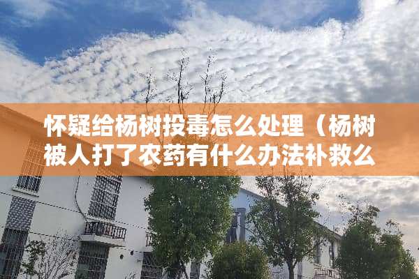 怀疑给杨树投毒怎么处理（杨树被人打了农药有什么办法补救么?）