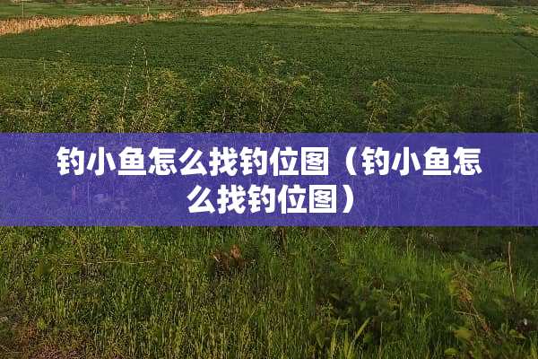 钓小鱼怎么找钓位图（钓小鱼怎么找钓位图）