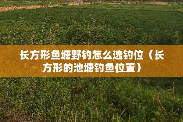 长方形鱼塘野钓怎么选钓位（长方形的池塘钓鱼位置）