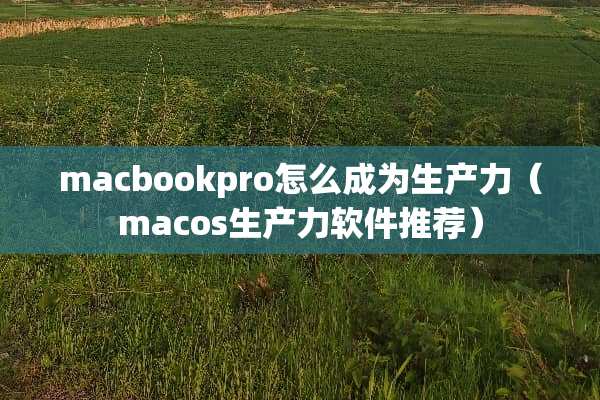 macbookpro怎么成为生产力（macos生产力软件推荐）