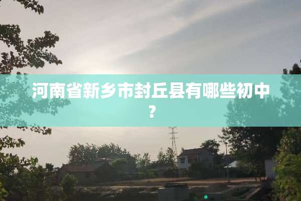 河南省新乡市封丘县有哪些初中？