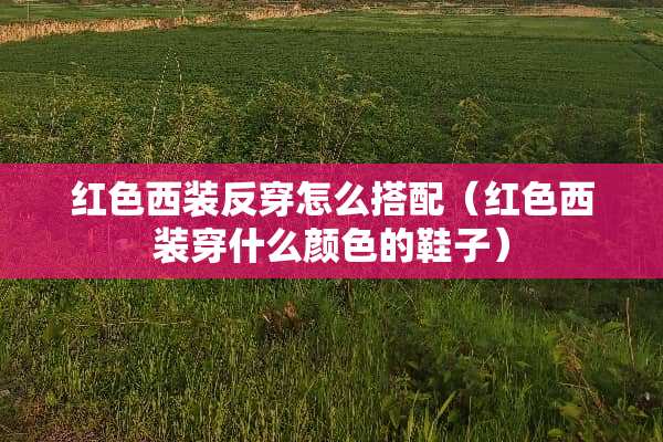 红色西装反穿怎么搭配（红色西装穿什么颜色的鞋子）