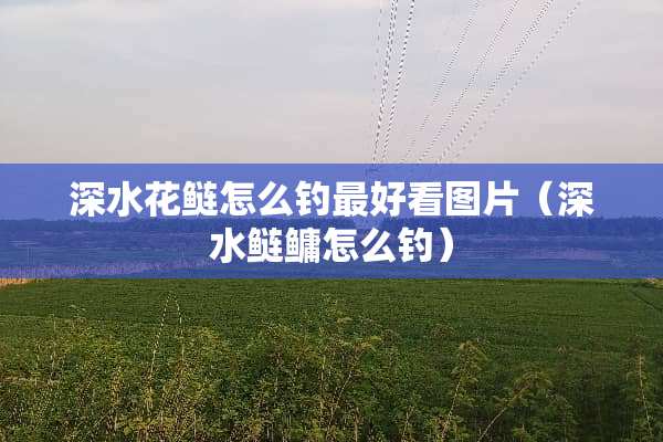 深水花鲢怎么钓最好看图片（深水鲢鳙怎么钓）