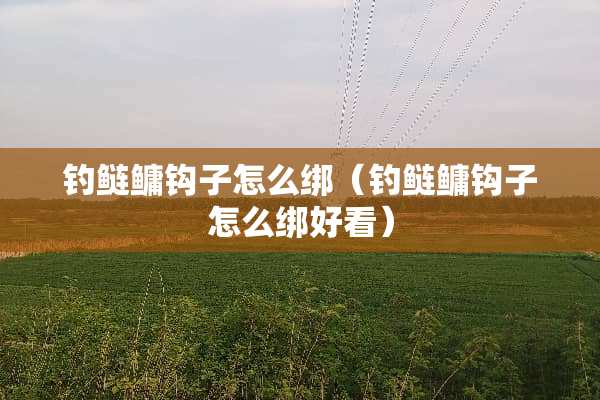 钓鲢鳙钩子怎么绑（钓鲢鳙钩子怎么绑好看）