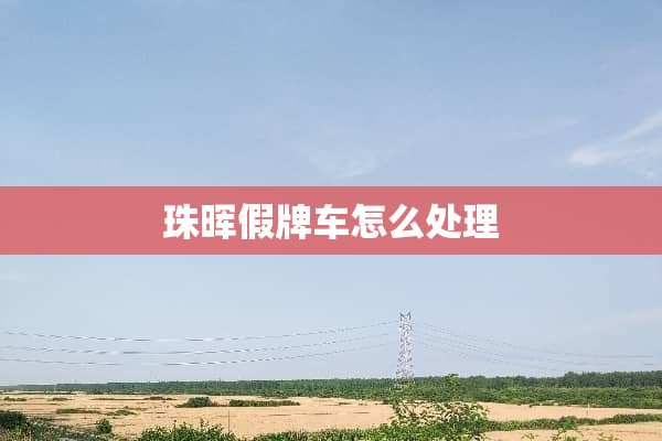 珠晖假牌车怎么处理