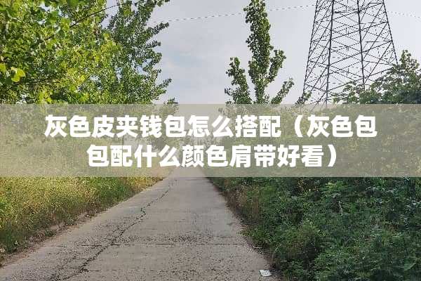 灰色皮夹钱包怎么搭配（灰色包包配什么颜色肩带好看）