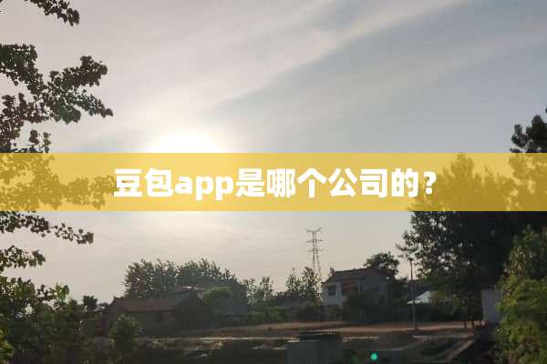 豆包app是哪个公司的？