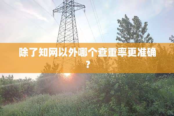 除了知网以外哪个查重率更准确？