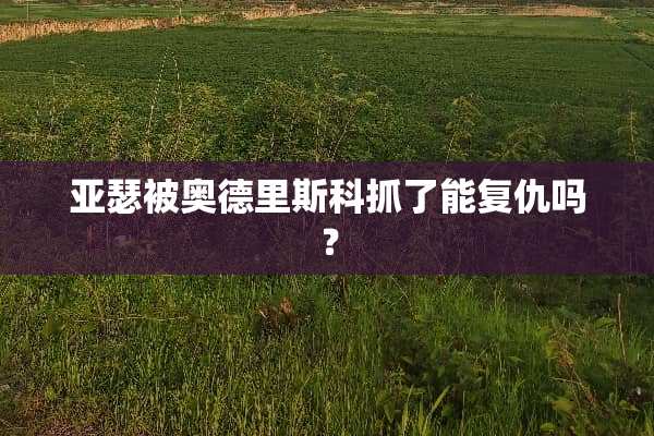亚瑟被奥德里斯科抓了能复仇吗？