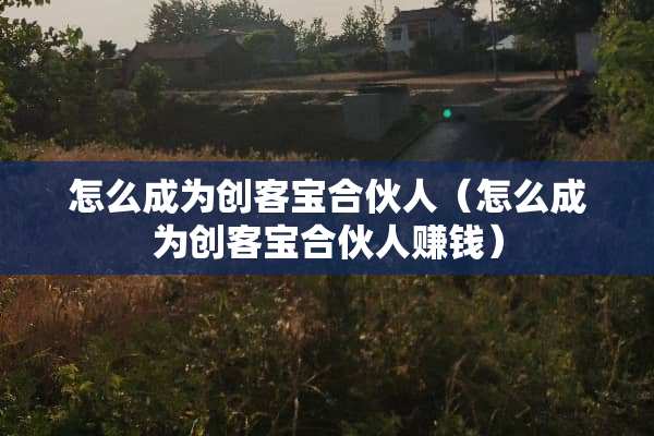 怎么成为创客宝合伙人（怎么成为创客宝合伙人赚钱）